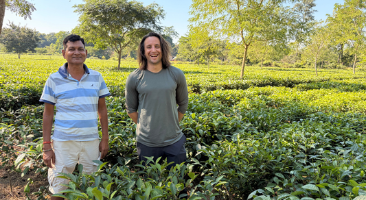 Visiting Assam with the Ethical Tea Partnership