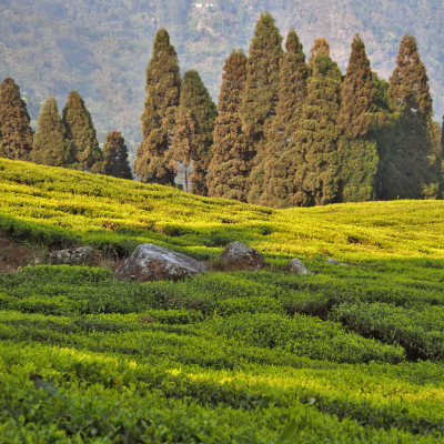 Impact Report 2022-2024: Our first comprehensive sustainability report