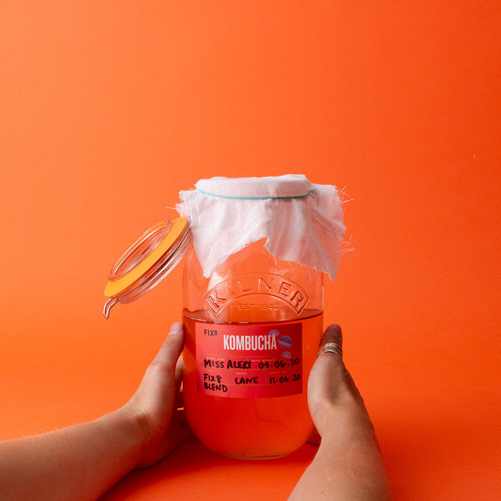 A Beginner’s Guide to Kombucha by Fix8