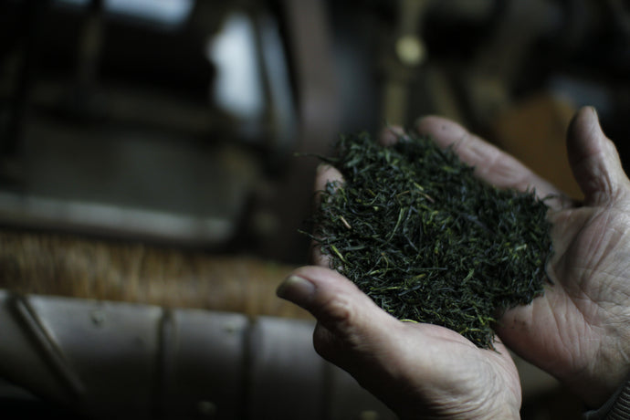 Everything you need to know about green tea