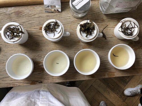 Our Brewer's Pick Guest Tea series
