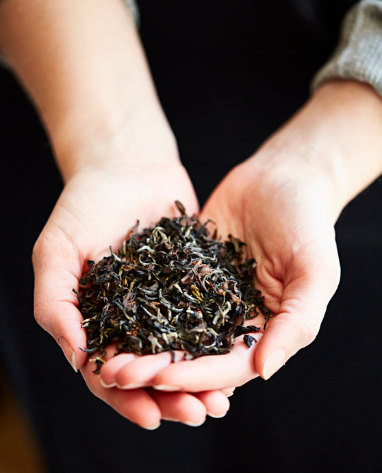 Everything You Need to Know About Oolong Tea