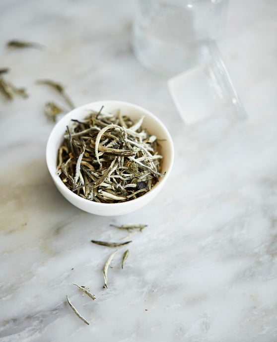 Everything you need to know about white tea