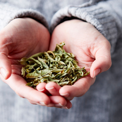 3 Ways with Lemon Verbena