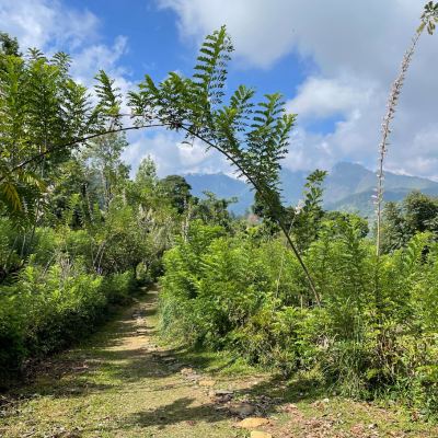 A trip to Sri Lanka
