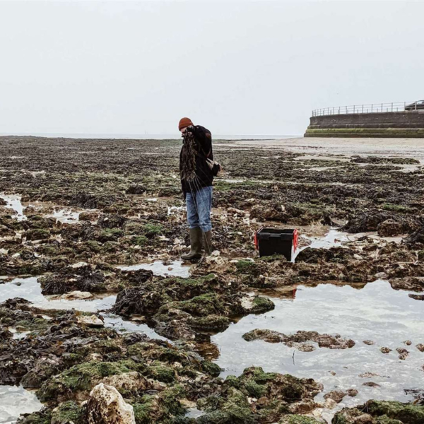 A grey round tub of Haeckels eco-marine cream sits on a seaweed-covered surface.