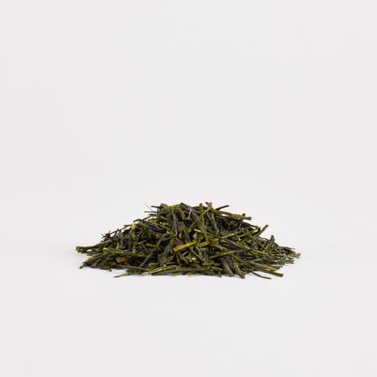 GUEST TEA Kawaguchi Sisters Shincha - Loose Leaf