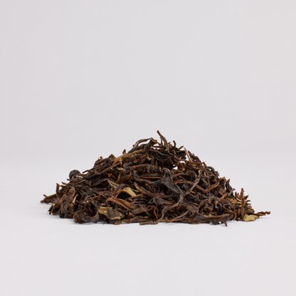 GUEST TEA Kangra Valley Oolong - Loose Leaf